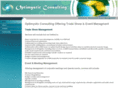 optimysticconsulting.com
