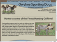 owyheesportingdogs.com