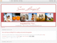 susielinquistblog.com