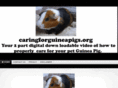 caringforguineapigs.org