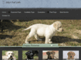 lilyspadlabs.com