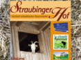 straubinger-hof.com