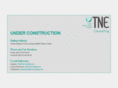 tneconsulting.com