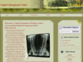 capitalchiro.net