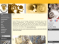 hundeschuleteamwork.net
