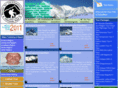 newvisiontreks.com