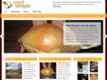 seedsimple.com