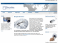 bergdata.com