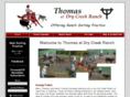 thomasdcr.com