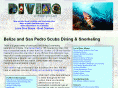 scubadivingbelize.net