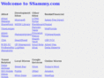 ssammy.com