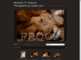 themomentstotreasure.com