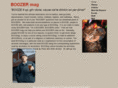 boozermag.com