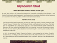 glynceirch.com