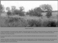 heiskari.info