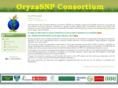 oryzasnp.org