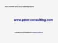 peter-consulting.com