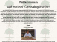 ruedigermoeller.net