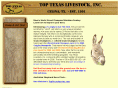 toptexas.com