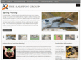 balstongroup.com