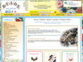 bead-shop.co.uk