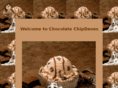 chocolatechipdanes.com