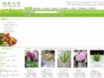floratree.com