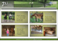 7wondersstables.com
