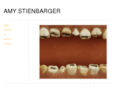 amystienbarger.com