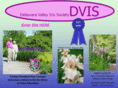 dvis-ais.org