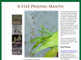 8-step.com