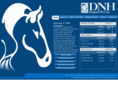 dnhfinancial.com