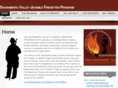 firesetter.com