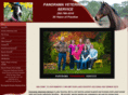 panoramavet.com