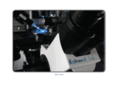 rosenmundlab.de