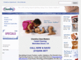 manhattan-beach-ca-carpet-cleaning.info