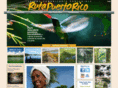 rutapr.com