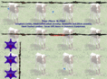 2kreeksranch.com