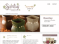 bestwicklesscandleco.com