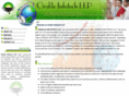 orakleinfotech.com