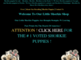 shorkieshop.com