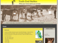 trailsendwhidbeyisland.com