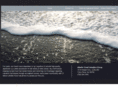 atlanticcoastvaluationgroup.com