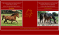 kaspischepaarden.com