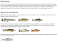 montreal-fishing.com