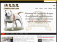 odcamericanbulldog.com