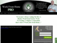 workfromhome-pro.com