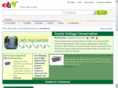 comfycottagecandles.com