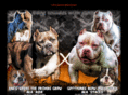 eliteamericanbullies.com