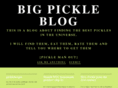 bigpickleblog.com